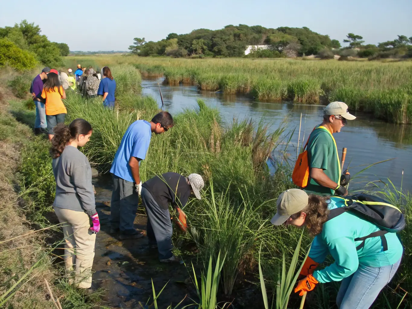 A vibrant image of volunteers participating in a habitat restoration project along the riverbank.